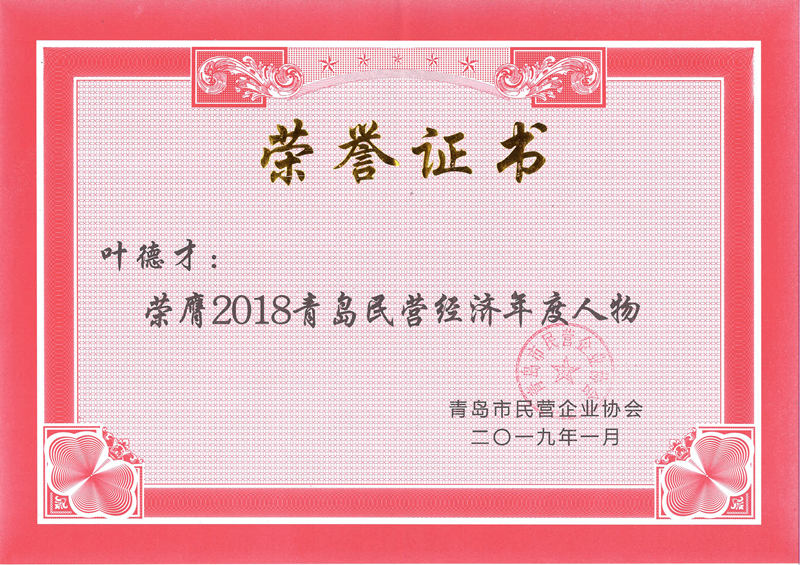 民營企業(yè)高質(zhì)量發(fā)展，德才集團(tuán)再獲殊榮領(lǐng)跑民企(圖7)